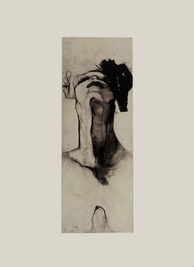 細長い形状に関する研究 作： Doris Schmitz