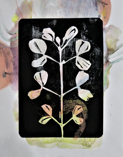 パステル画による植物習作 作： Doris Schmitz
