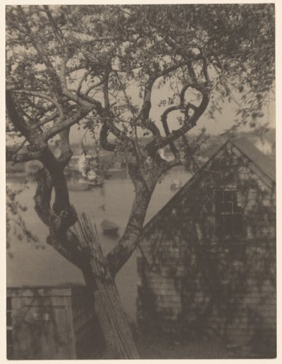 港の風景、おそらくマサチューセッツ州グロスター 作： Doris Ulmann