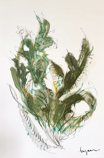  作： 