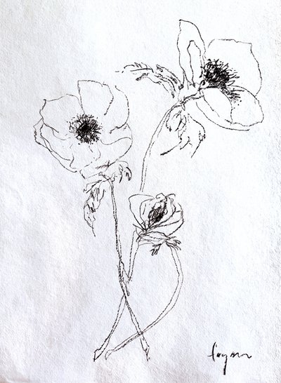 繊細な花のスケッチ 作： Dorothy Fagan