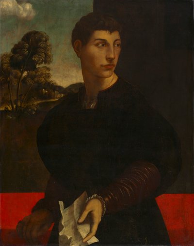 若い男の肖像、c。 1530年。 作： Dosso Dossi