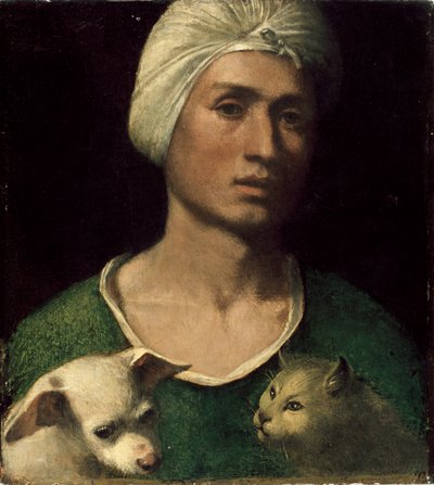 犬と猫を抱く若い男の肖像、c1530s 作： Dosso Dossi