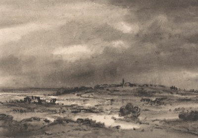 構成: 湿原の風景 作： Dr. Thomas Monro