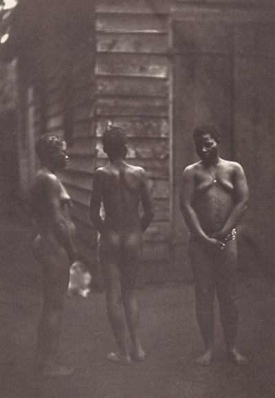 3人のマダガスカル女性（プレート30）1863年（写真） 作： デジレ・シャルネー