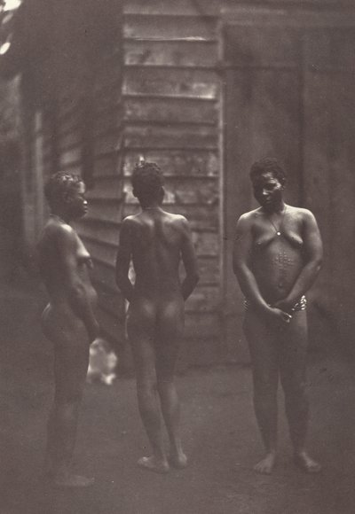 3 人のマダガスカルの女性プレート 30、1863 年。 作： Désiré Charnay