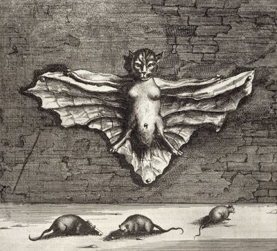 飛ぶ猫として知られるコウモリ、中国出身アタナシウス・キルヒャー（1601-80）1667 作： Dutch School