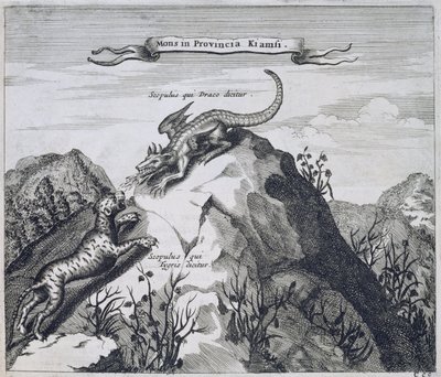 ドラゴンとタイガーとして知られている岩山のある江西省の山、中国からの図解Athanasius Kircher（1601-80）1667 作： Dutch School