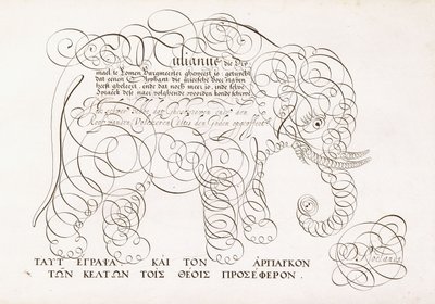 象の書道デザイン、1616〜1617年、17世紀後半 作： Dutch School