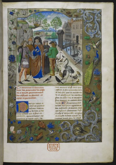 Bartholomaeus Angelicus、フランス語の De proprietatibus rerum (Livre des proprietez des chooses)、Royal 15 E III、f. 11 作： Dutch School