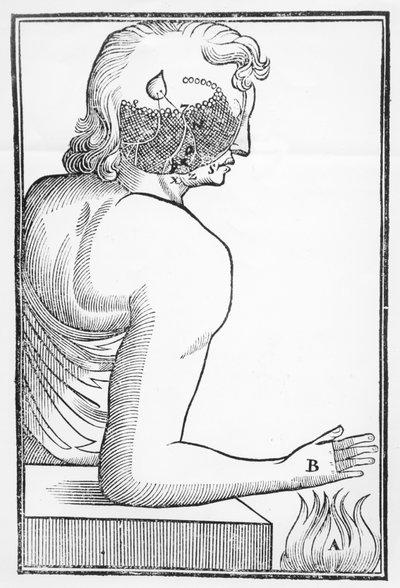 1677年にアムステルダムでエルゼビアによって公開されたTractatus de Homineによる、火災への反応に関連した松果体の働きと人間の神経系への影響の図 作： Dutch School
