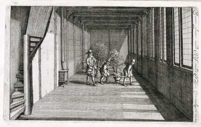 1676年に出版されたJan CommelinによるDe Nederlandze Hesperidesから夏に向けて庭に木を移動する 作： Dutch School
