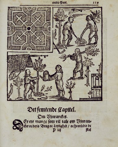 1699年に出版されたヨハンファンデルグルーエンのオランダ人庭師による植樹 作： Dutch School