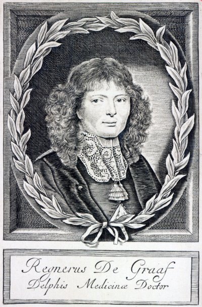 レニエドグラーフ、1670年頃 作： Dutch School