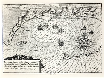 1598年9月にモーリシャスのサウスイーストポートに副提督Wybrandt Van Warwijcks Flotillaが到着 作： Dutch School