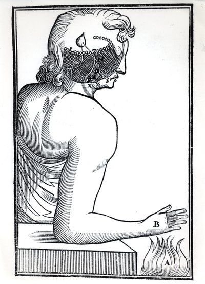 感覚の知覚、1677年にアムステルダムで出版されたルネデカルト（1596-1650）によるデホーミネフィグリスから 作： Dutch School