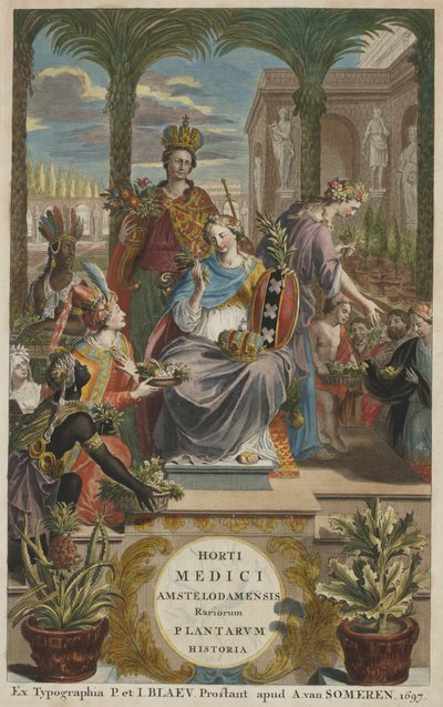 ヤン・コメリン著「Horti Medici Amstelodamensis Rariorum Plantarum Historia」第1巻のタイトルページ。 作： Dutch School