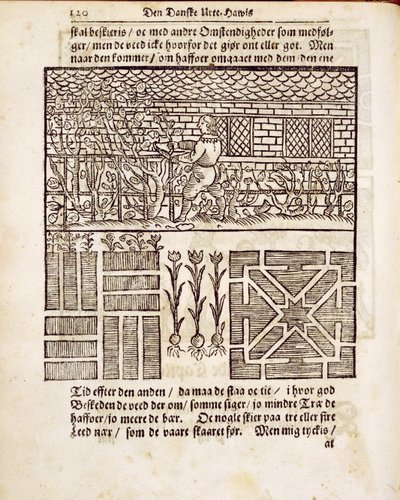 1699年に出版されたヨハンファンデルグルーエンのオランダの庭師による庭でのトレーニングと植栽 作： Dutch School