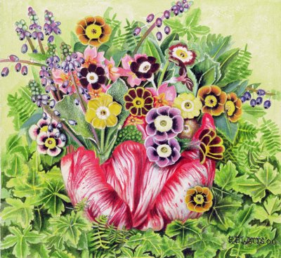 Auriculas、2000（キャンバスにアクリル） 作： E.B. Watts