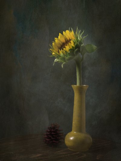  作： EDUARDO LLERANDI