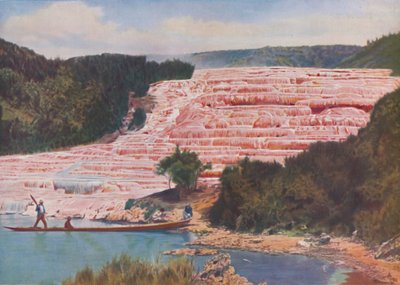 ニュージーランドの紅潮した美しさ完全破壊前のピンクのテラス、c1935 作： ENA