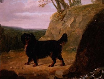 風景の中のコッカースパニエル 作： E.W. Gill