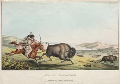 バッファローを狩る、1837年。 作： E. C. Biddle
