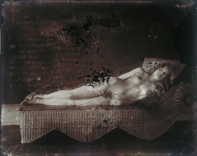 無題、1911～13年頃（シルバープリント） 作： E. J. Bellocq