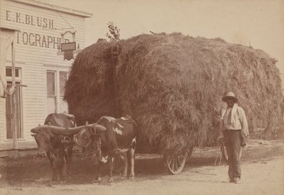 1894～1904年、干し草のカートを持った男性の卵白プリント。 作： E. K. Blush