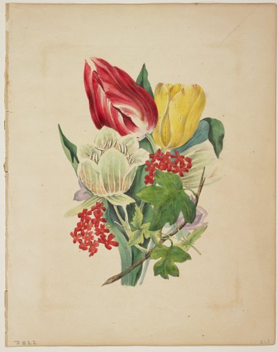 フローラの辞書からのチューリップの花束、1838 作： E. W. Wirt