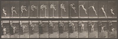 動物の移動。 動物の連続相の電子写真調査、1880年代。 作： Eadweard Muybridge