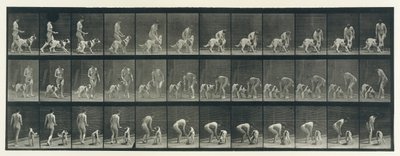 動物の移動。 動物の連続相の電子写真調査、1880年代。 作： Eadweard Muybridge