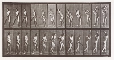 動物の移動。 動物の連続相の電子写真調査、1880年代。 作： Eadweard Muybridge