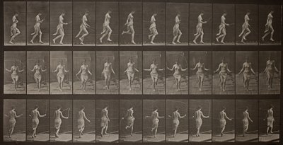 動物の移動、プレート 174、1887 年。 作： Eadweard Muybridge