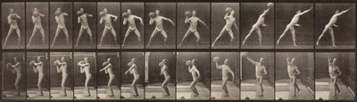動物の移動、プレート 319、1887 年。 作： Eadweard Muybridge