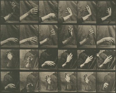 動物の移動、プレート 535、1887 年。 作： Eadweard Muybridge