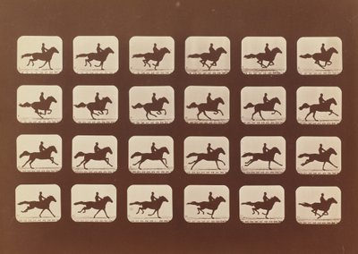 馬。 ランニング。 Phyrne L. No. 40, 1879. 作： Eadweard Muybridge