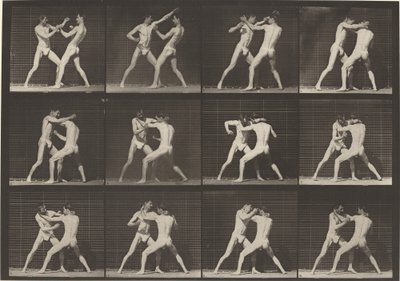 プレート番号 340。ボクシング、オープン ハンド シューズ、1887 年。 作： Eadweard Muybridge