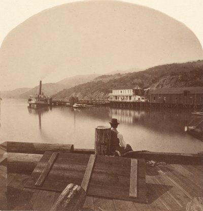 N.P.C.R.R. のサウサリート 波止場、南を向いて、カリフォルニア州。 1868年。 作： Eadweard Muybridge
