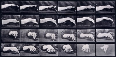 手のモーションスタディ、1872年から1885年 作： Eadweard Muybridge