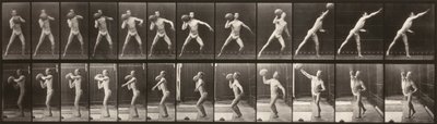 動物の運動（プレート319）（ボールを投げる男） 作： Eadweard Muybridge