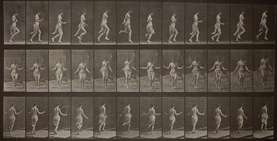 動物の運動、174 作： Eadweard Muybridge