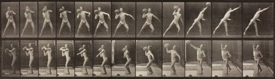 動物の移動、プレート319、1887 作： Eadweard Muybridge