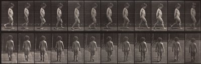 動物の移動、プレート467 作： Eadweard Muybridge