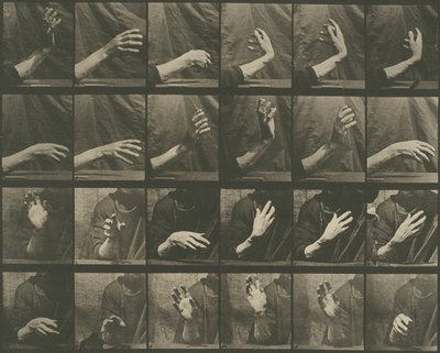 動物の運動、プレート535 作： Eadweard Muybridge