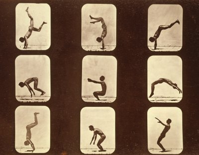 アスリートFlip flap "Animal Locomotion" series, c.1881 (bw photo) 作： Eadweard Muybridge