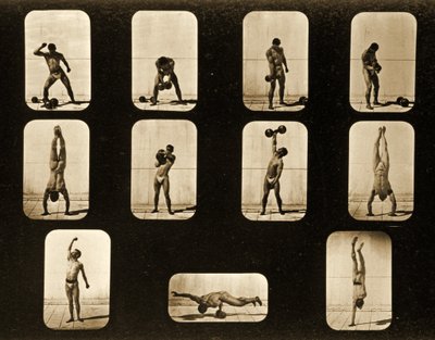 アスリート。 「動物の移動」シリーズの姿勢、1881年頃 作： Eadweard Muybridge