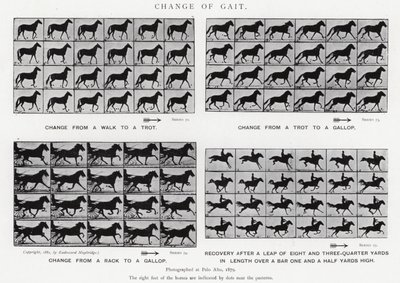 エドワード・マイブリッジ歩行の変化（モノクロ写真 作： Eadweard Muybridge