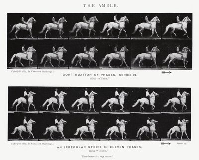 エドワード・マイブリッジザ・アンブル（モノクロ写真 作： Eadweard Muybridge