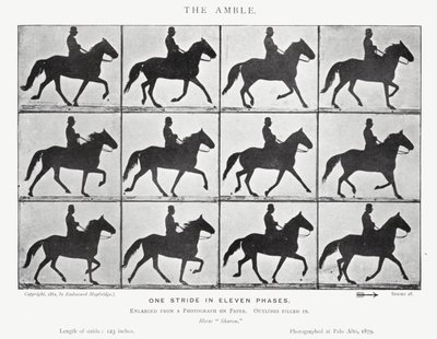 エドワード・マイブリッジザ・アンブル（モノクロ写真 作： Eadweard Muybridge